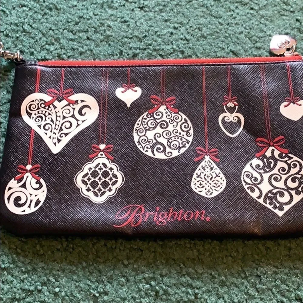 Brighton clutch/ makeup bag